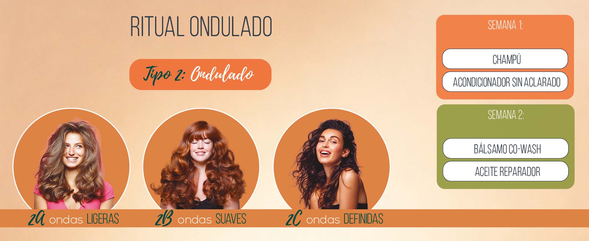 Tipo 2 Cabello ondulado